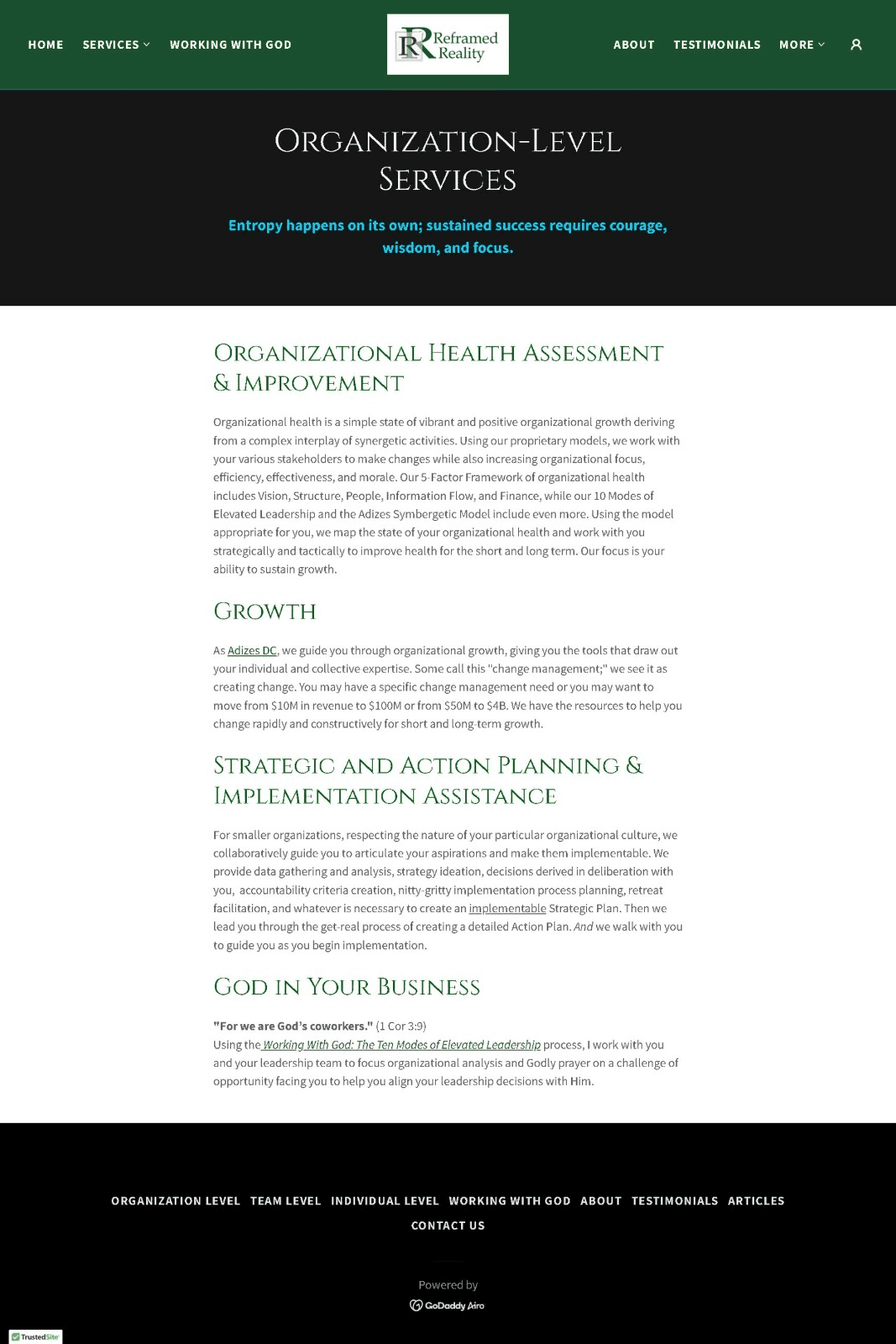 The old Organization-Level Services page: four dense paragraphs of body copy under small-caps headings, with no calls to action.