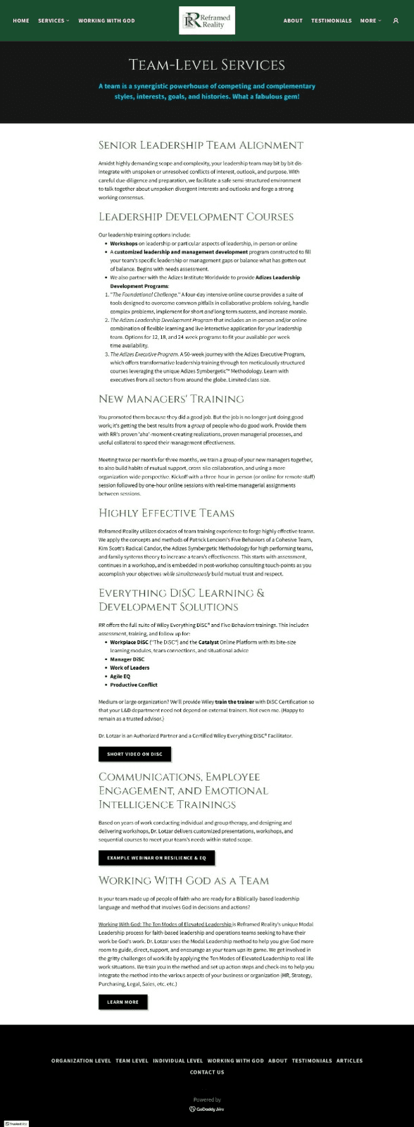The old Team-Level Services page: eight stacked sections of dense copy.